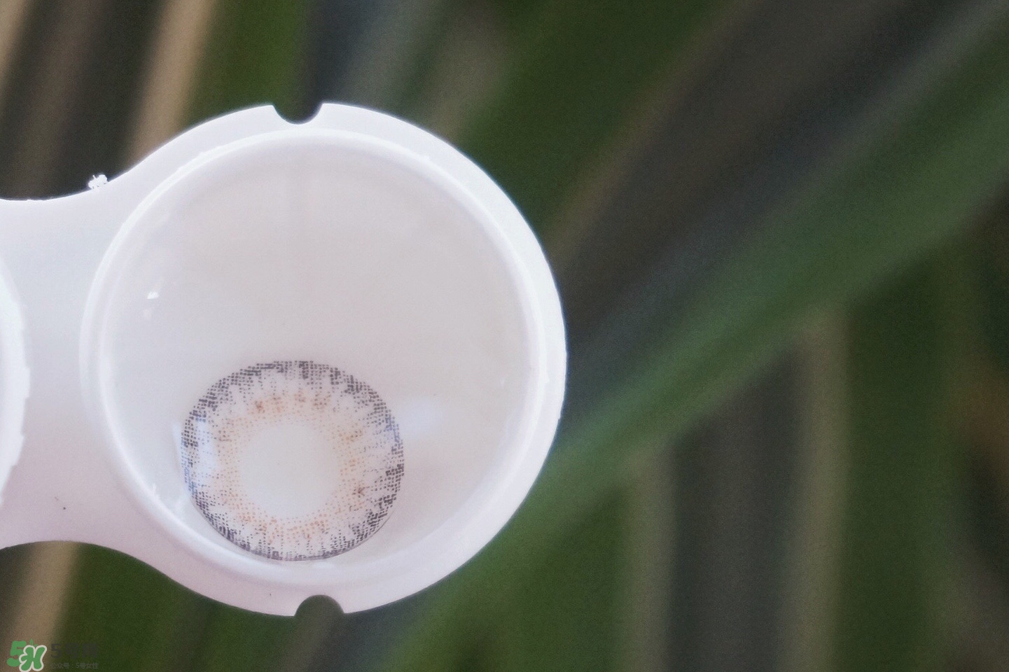 ն����Ӱ��ô�� ն�е�ɫ��Ӱ����